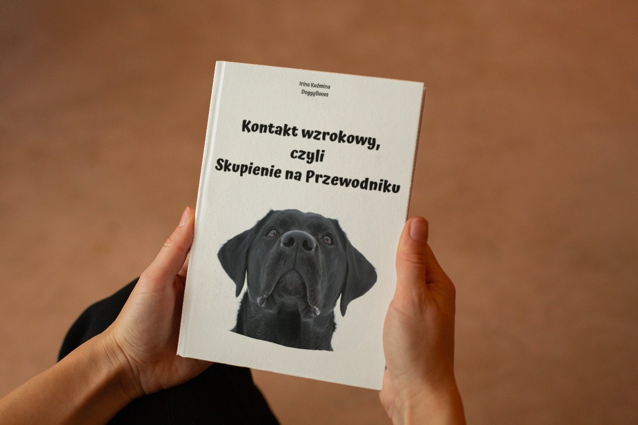 Nauka skupienia na Przewodniku: pdf + filmiki szkoleniowe