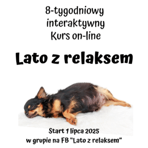 Kurs "Lato z relaksem": nauka odpoczynku dla psów. 8 tygodni - webinary, ćwiczenia, filmiki. Start 1 lipca 2025