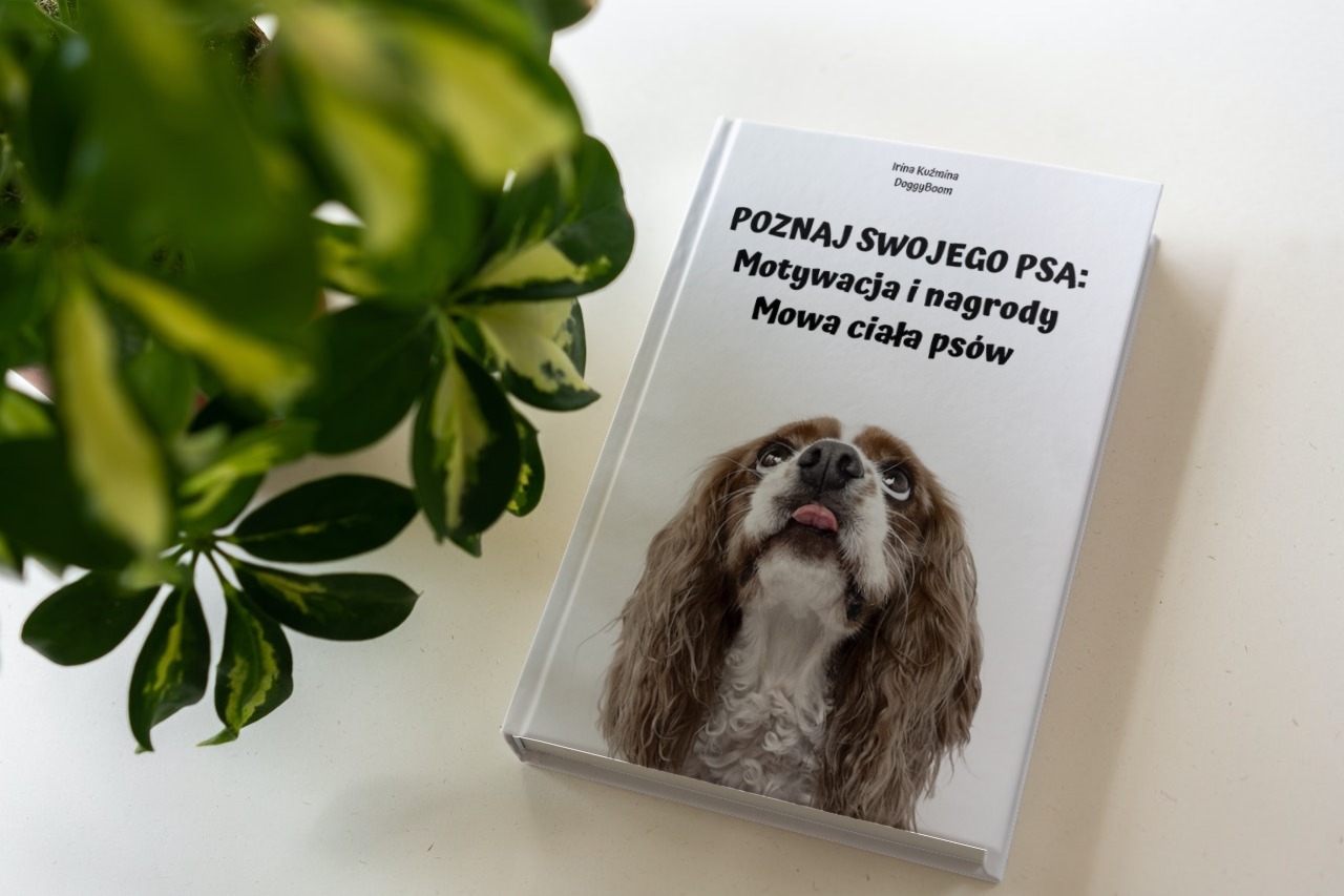 "Poznaj swojego psa. Motywacja i mowa ciała" - materiały pdf + filmiki szkoleniowe