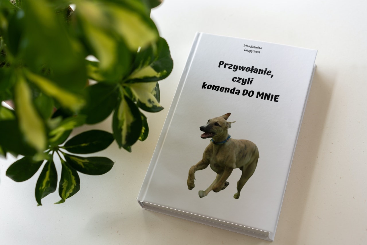 "Przywołanie, czyli Komenda DO MNIE": pdf + filmik treningowy