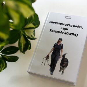 "Chodzenie przy nodze, czyli Komenda RÓWNAJ": pdf + filmik treningowy