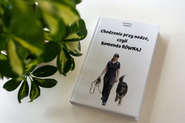"Chodzenie przy nodze, czyli Komenda RÓWNAJ": pdf + filmik treningowy