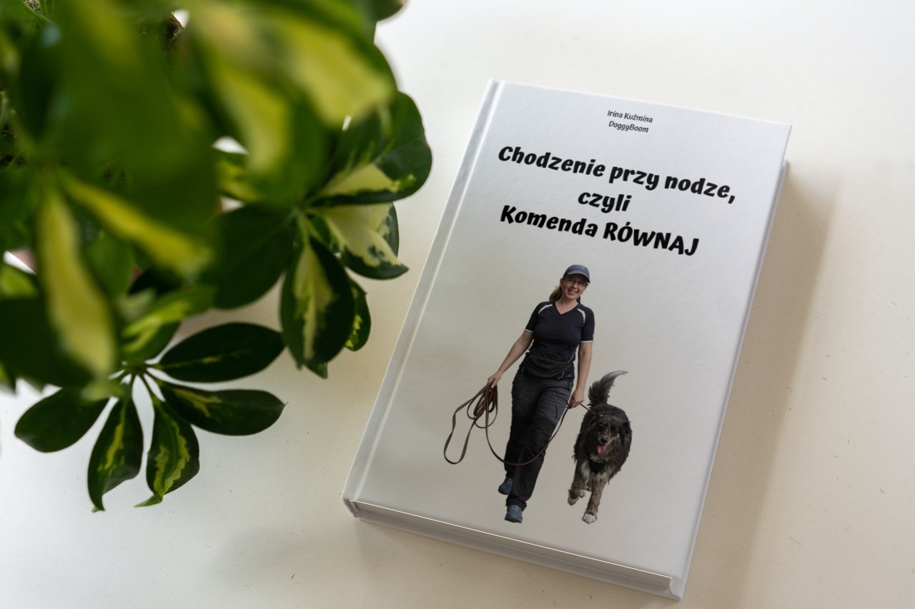 "Chodzenie przy nodze, czyli Komenda RÓWNAJ": pdf + filmik treningowy
