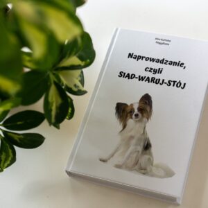 "Podstawowe komendy: SIAD-WARUJ-STÓJ" - pdf + filmik treningowy