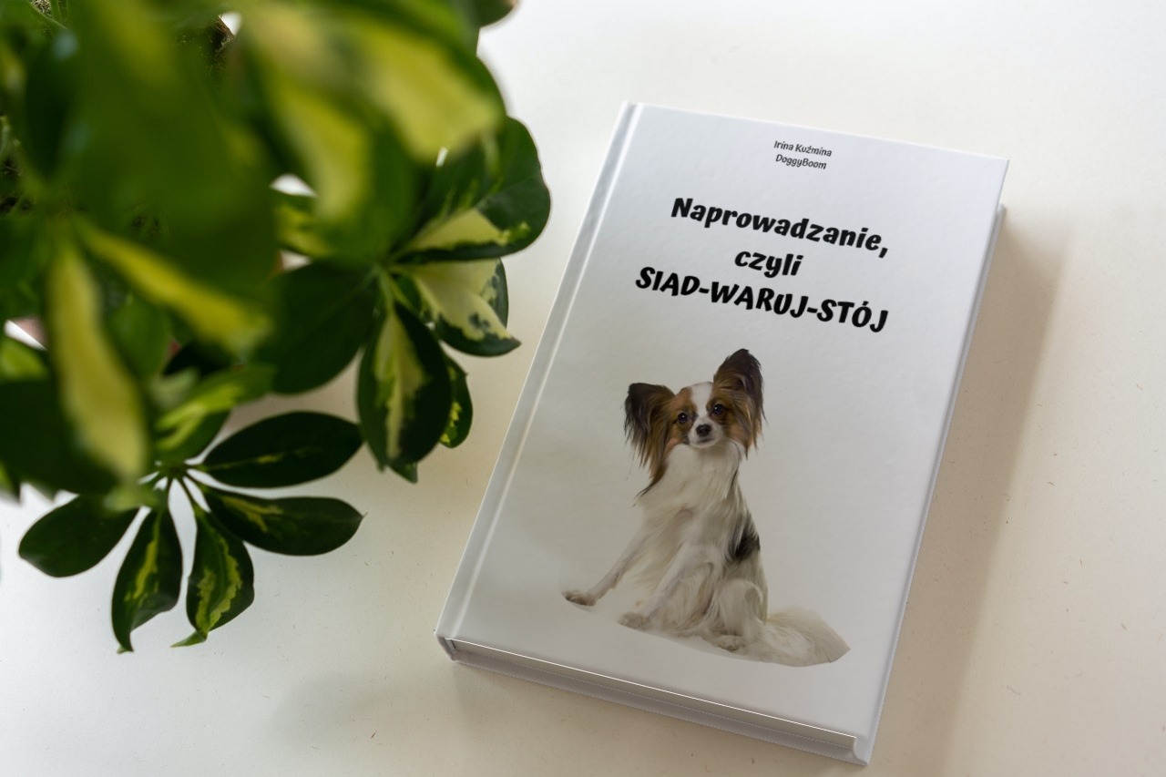 "Podstawowe komendy: SIAD-WARUJ-STÓJ" - pdf + filmik treningowy