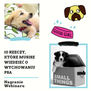 10 rzeczy, które musisz wiedzieć o wychowaniu psa