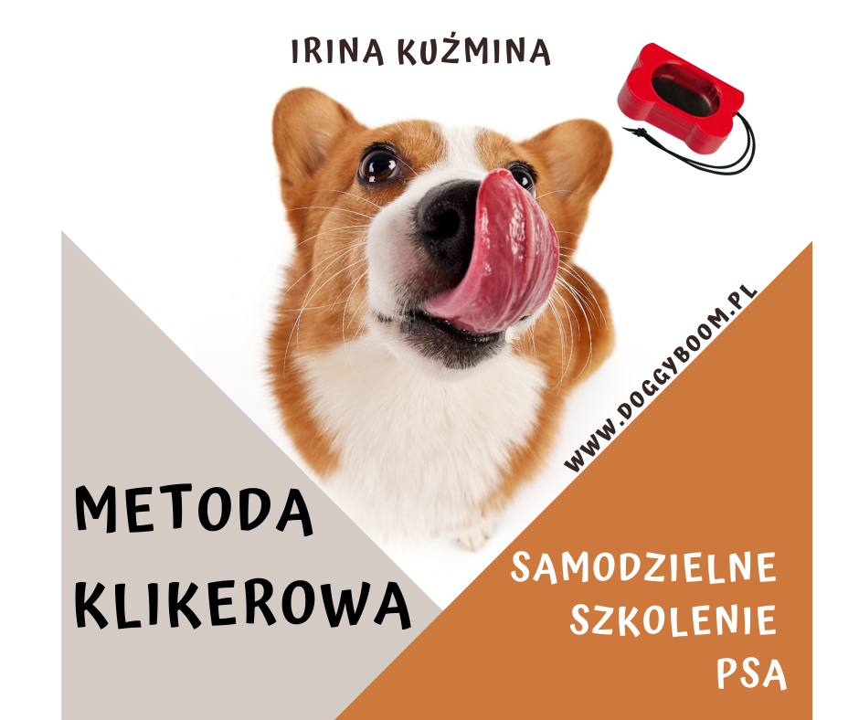 Metoda klikerowa Samodzielne szkolenie psa